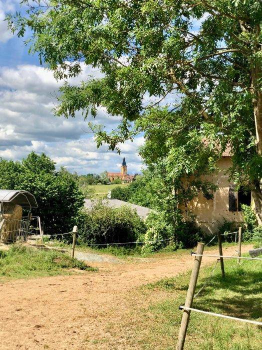 Proprietà equestre In vendita Loire