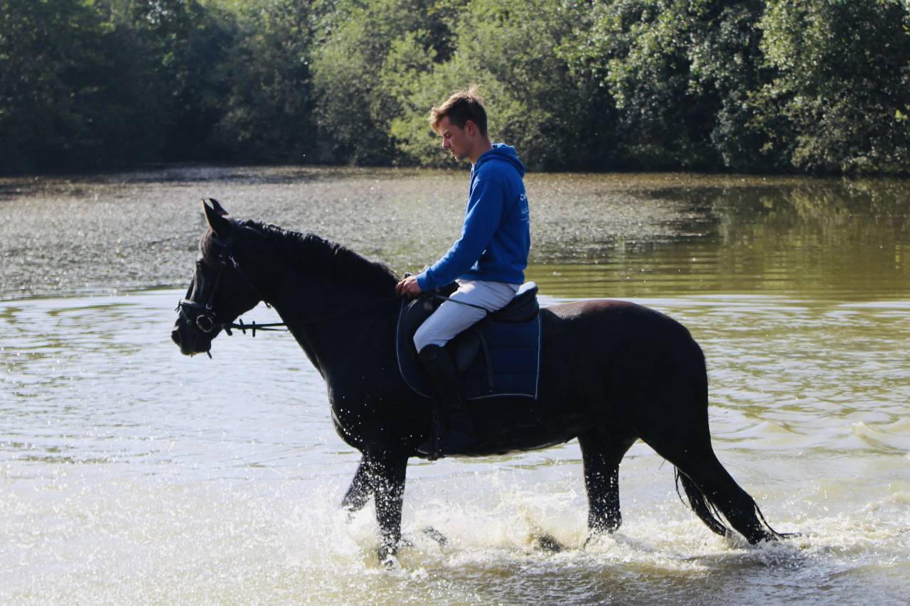 Centre &eacute;questre du moulin  