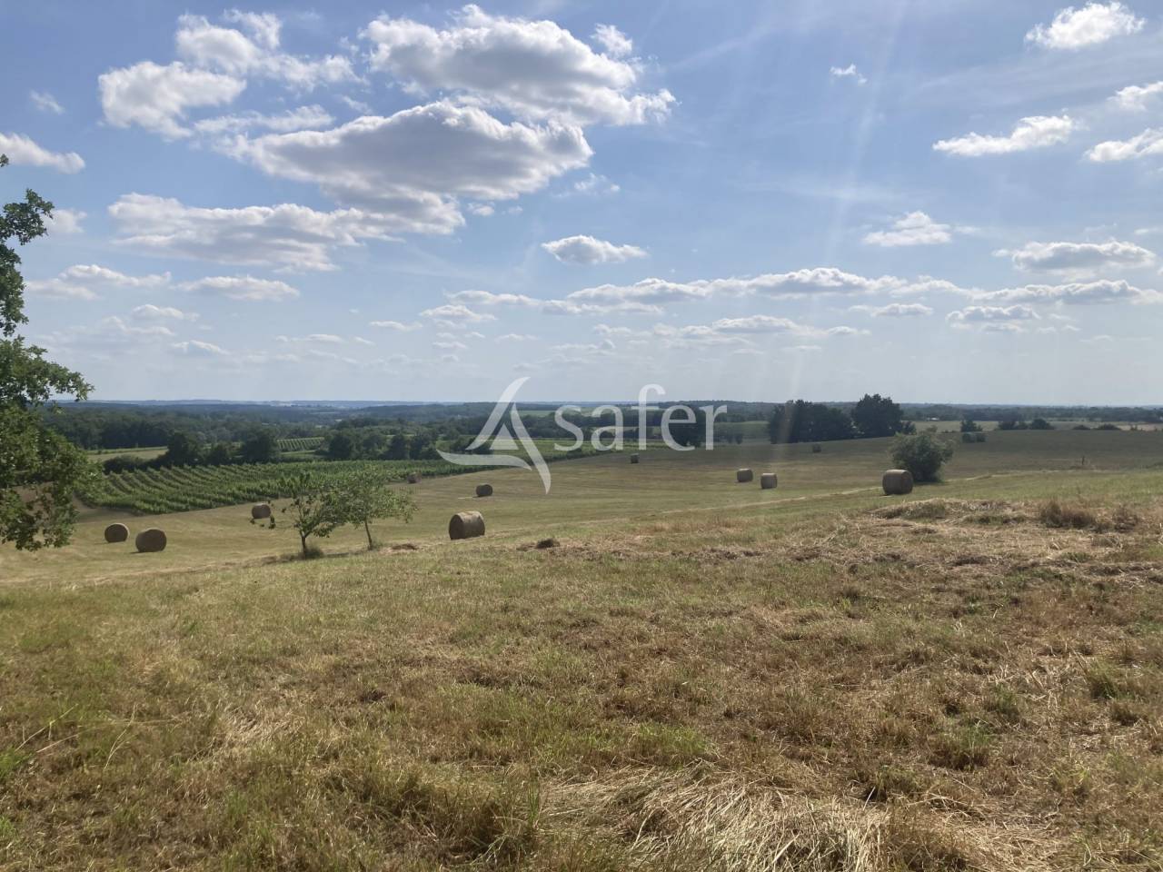 Proprietà equestre In vendita Lot-et-Garonne