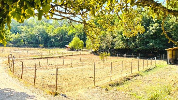 Proprietà equestre In vendita Var