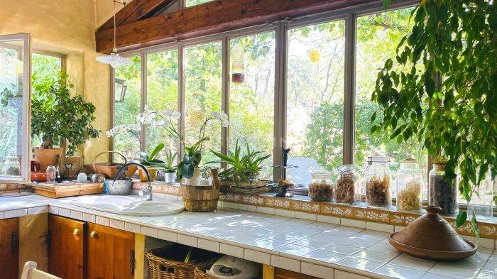 Proprietà equestre In vendita Var