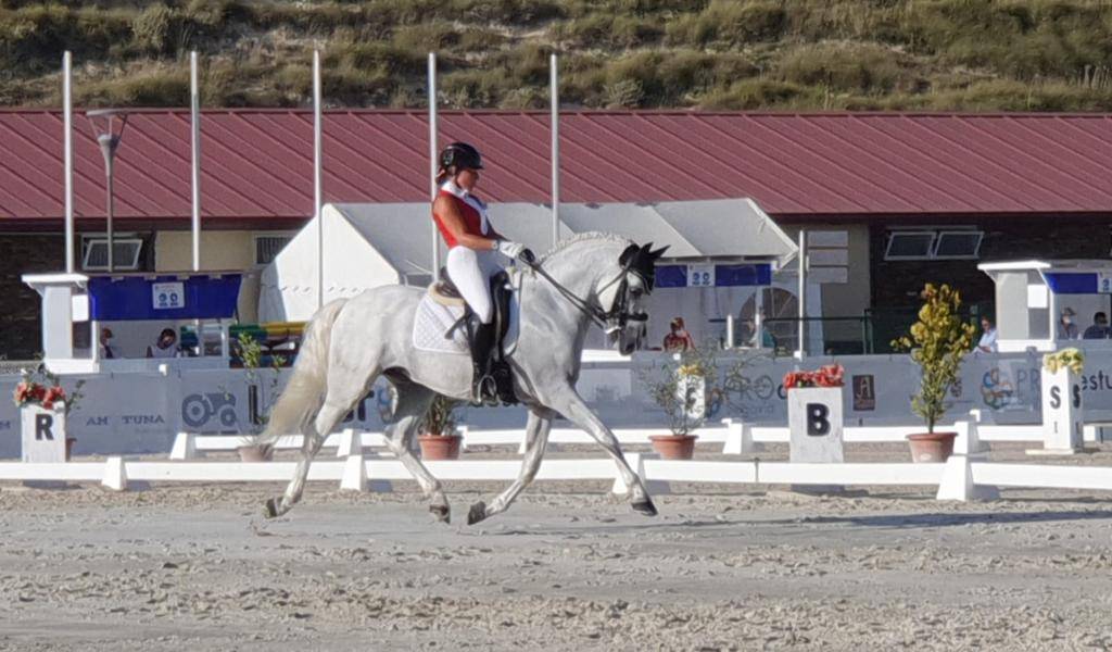 Castrone PRE Andaluso In vendita 2012 Bianco ,  BAROLIK DE LP