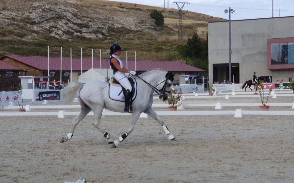 Castrone PRE Andaluso In vendita 2012 Bianco ,  BAROLIK DE LP