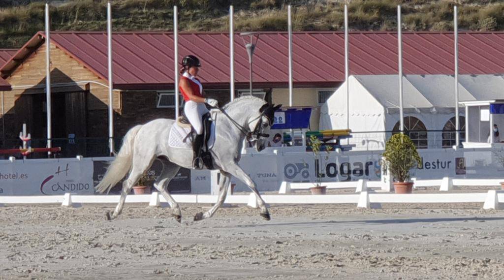 Castrone PRE Andaluso In vendita 2012 Bianco ,  BAROLIK DE LP