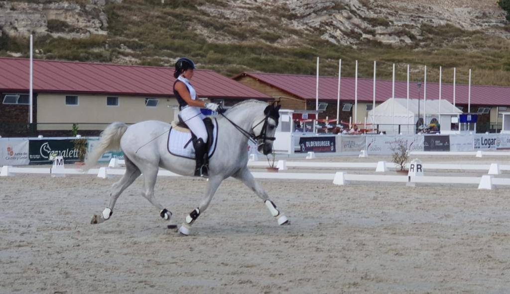 Castrone PRE Andaluso In vendita 2012 Bianco ,  BAROLIK DE LP