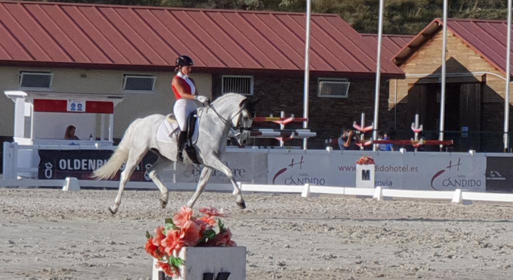 Castrone PRE Andaluso In vendita 2012 Bianco ,  BAROLIK DE LP