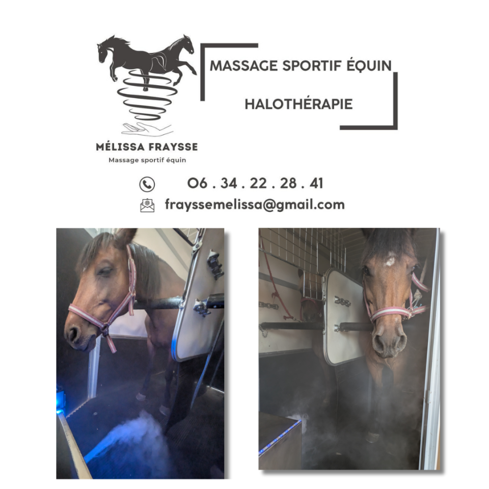 M&eacute;lissa Fraysse - Massage Sportif Equin | Salute del cavallo  > Medicine alternative cavalli > Massaggio Equino