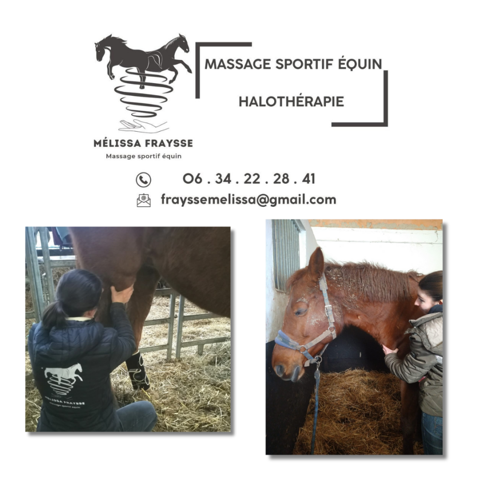 M&eacute;lissa Fraysse - Massage Sportif Equin | Salute del cavallo  > Medicine alternative cavalli > Massaggio Equino