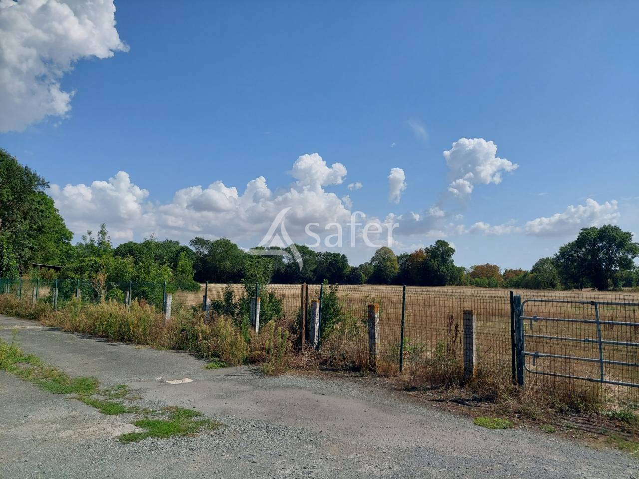 Azienda orticoltrice In vendita Charente-Maritime