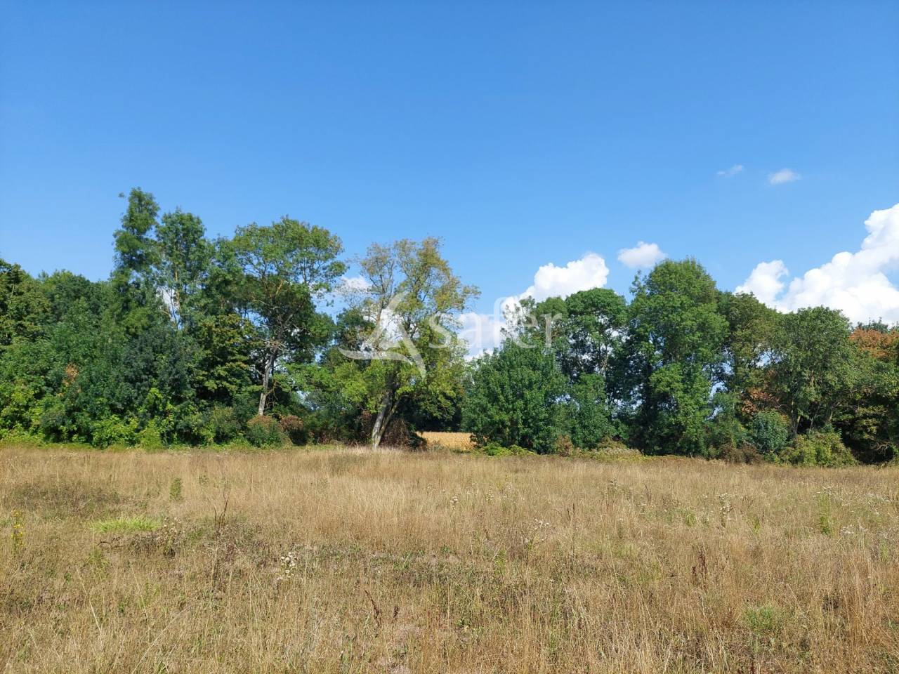 Azienda orticoltrice In vendita Charente-Maritime