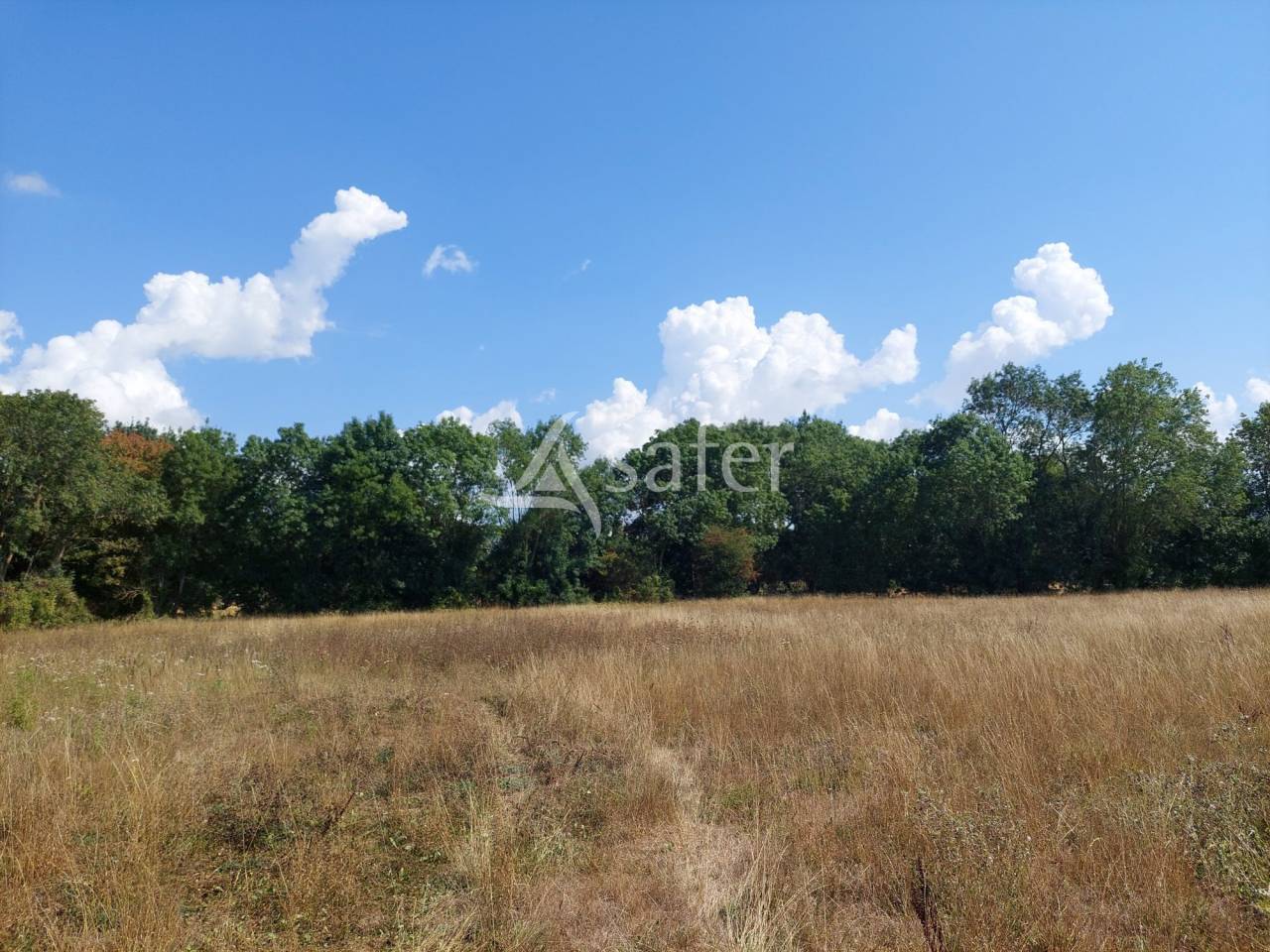 Azienda orticoltrice In vendita Charente-Maritime