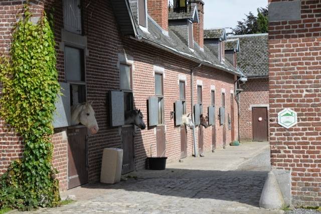 Haras de Baudemont 