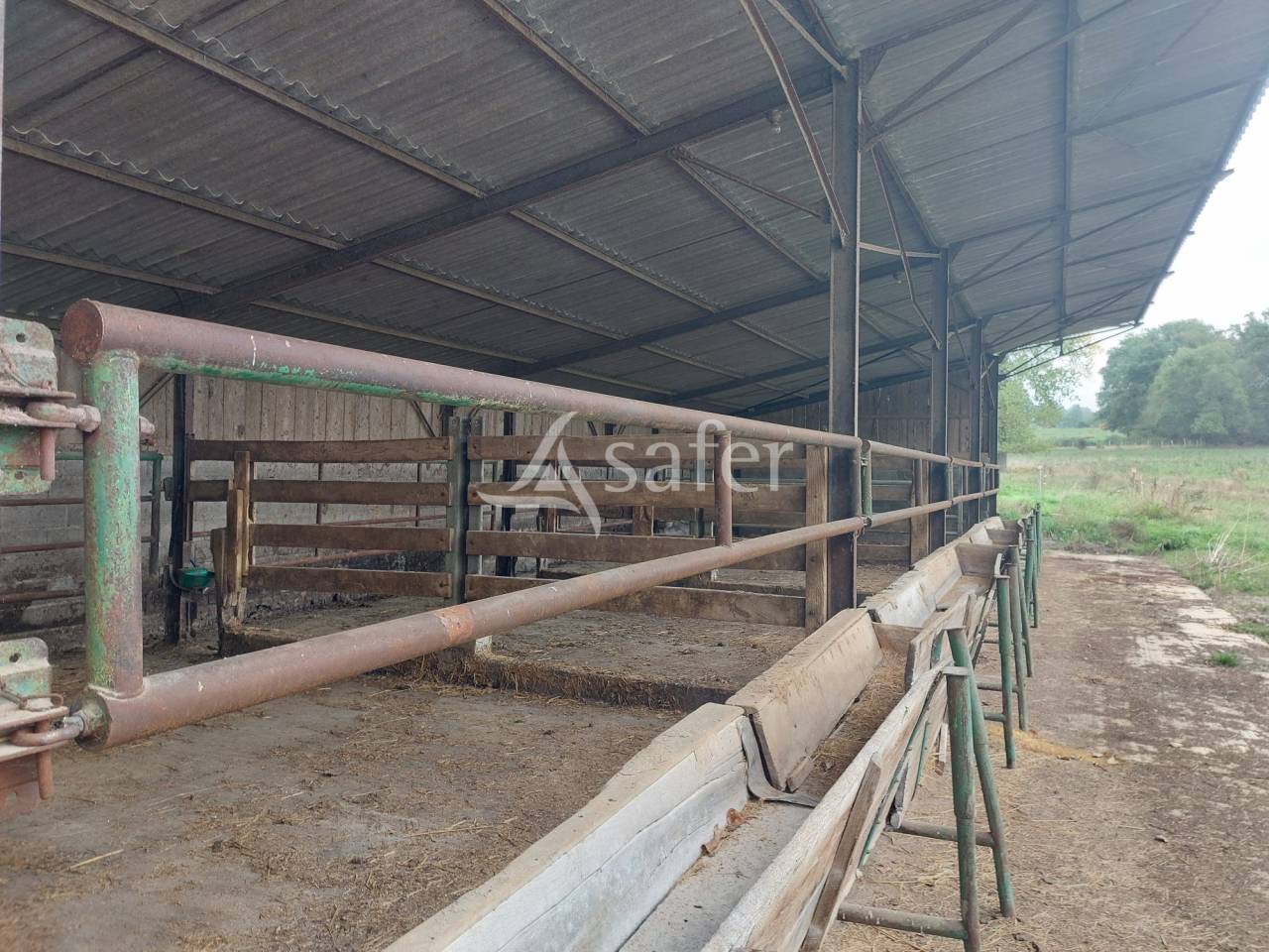 Azienda ovina In vendita Dordogne