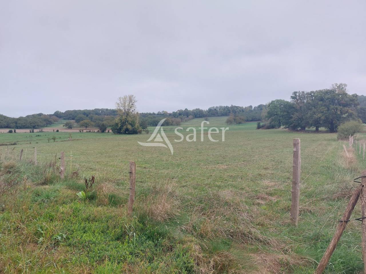 Azienda ovina In vendita Dordogne