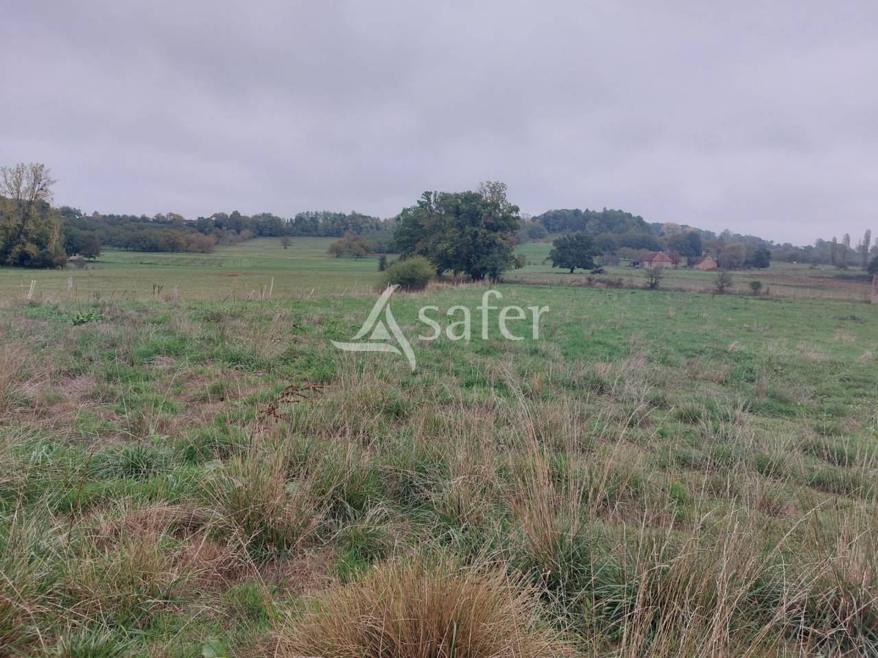 Azienda ovina In vendita Dordogne