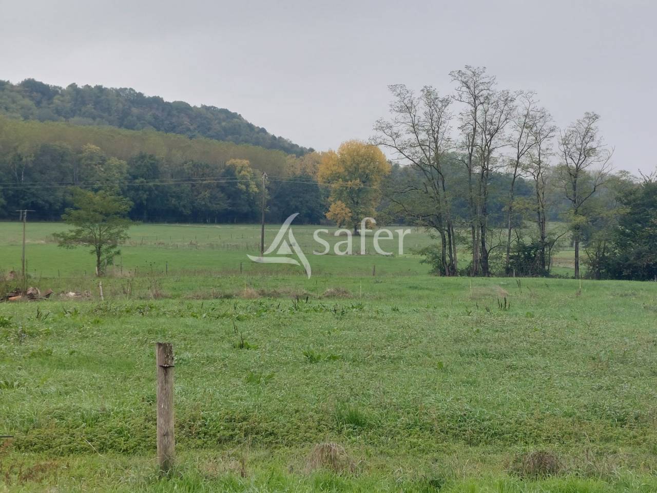 Azienda ovina In vendita Dordogne