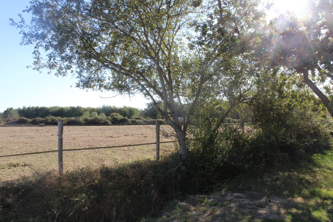 Proprietà equestre In vendita Haute-Garonne