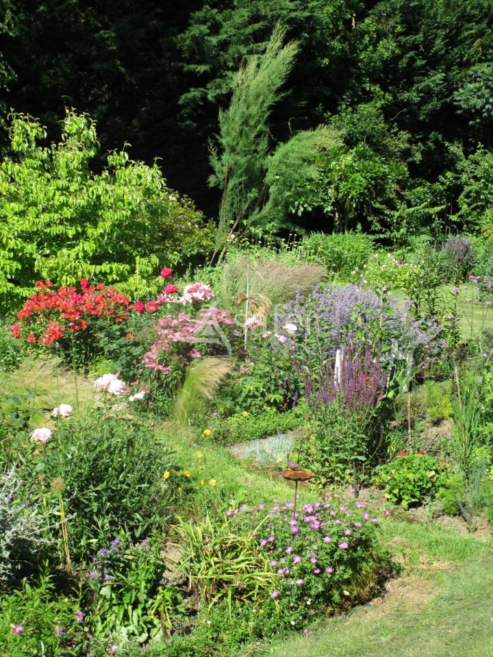 Azienda arboricola In vendita Dordogne