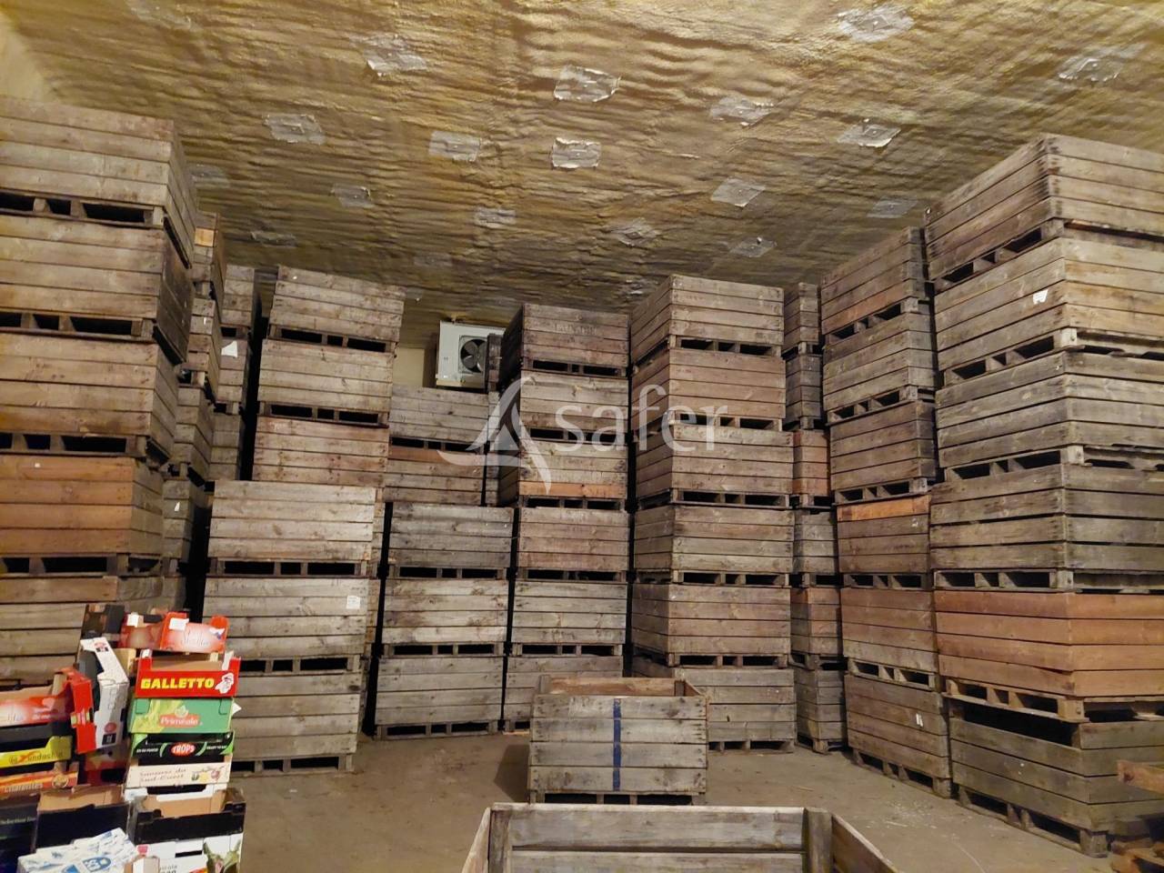 Azienda arboricola In vendita Dordogne