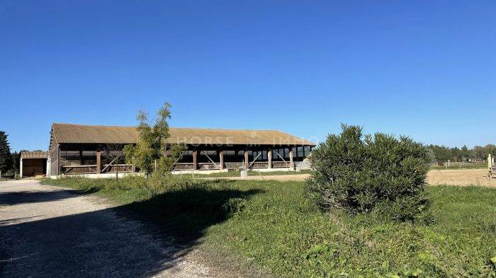 Proprietà equestre In vendita Gard