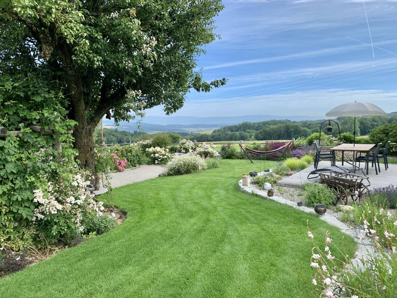 Azienda equestre In vendita Vaud