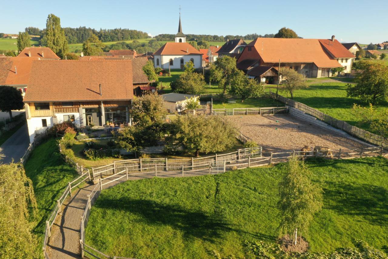 Azienda equestre In vendita Vaud