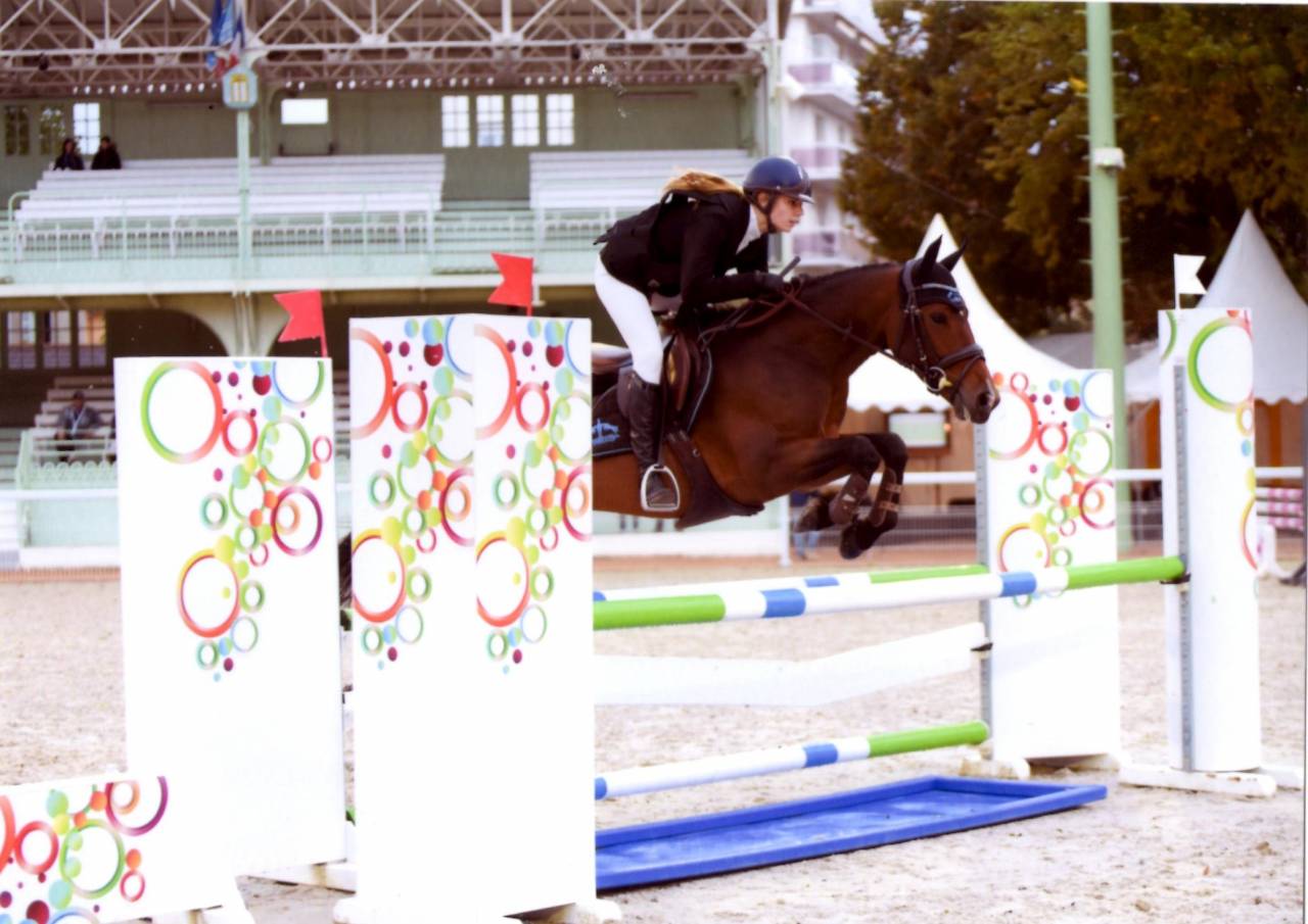 Castrone PFS Pony Francese da Sella In vendita 2013 Baio ,  NINIO DE ROX