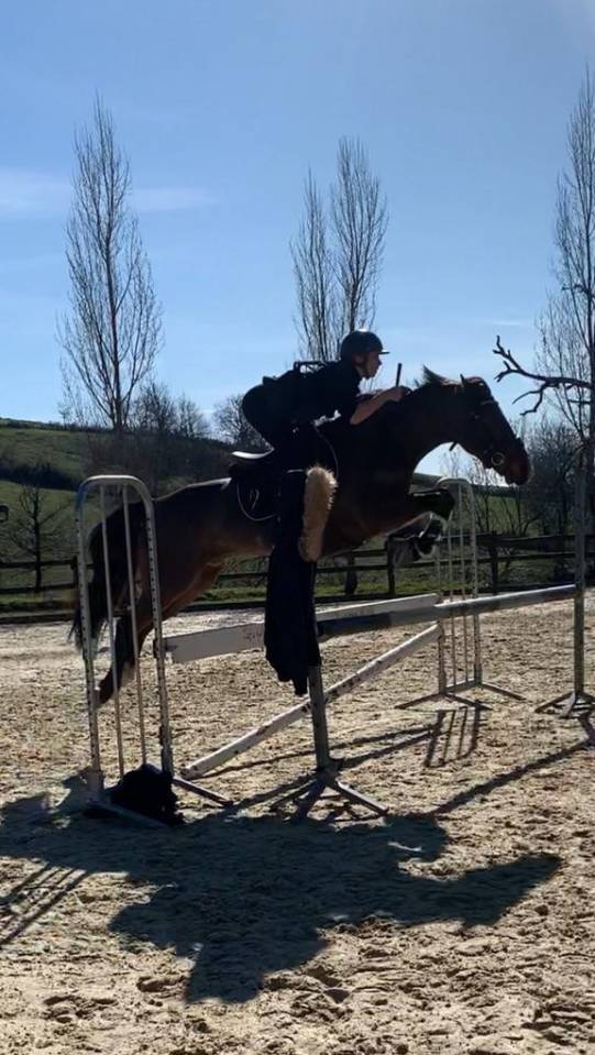 Castrone PFS Pony Francese da Sella In vendita 2013 Baio ,  NINIO DE ROX