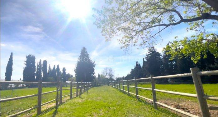 Proprietà equestre In vendita Vaucluse