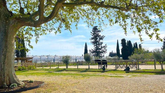 Proprietà equestre In vendita Vaucluse