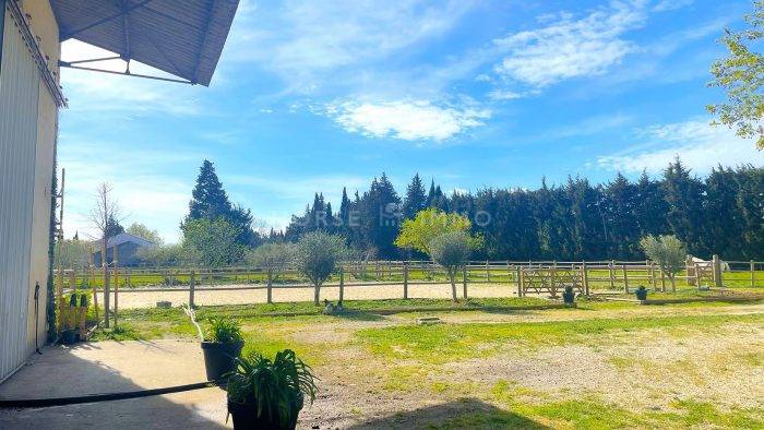 Proprietà equestre In vendita Vaucluse