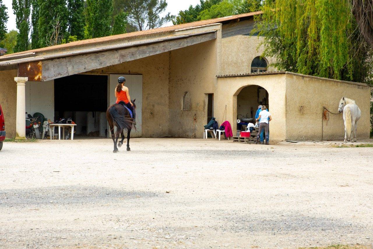 Proprietà equestre In vendita Vaucluse