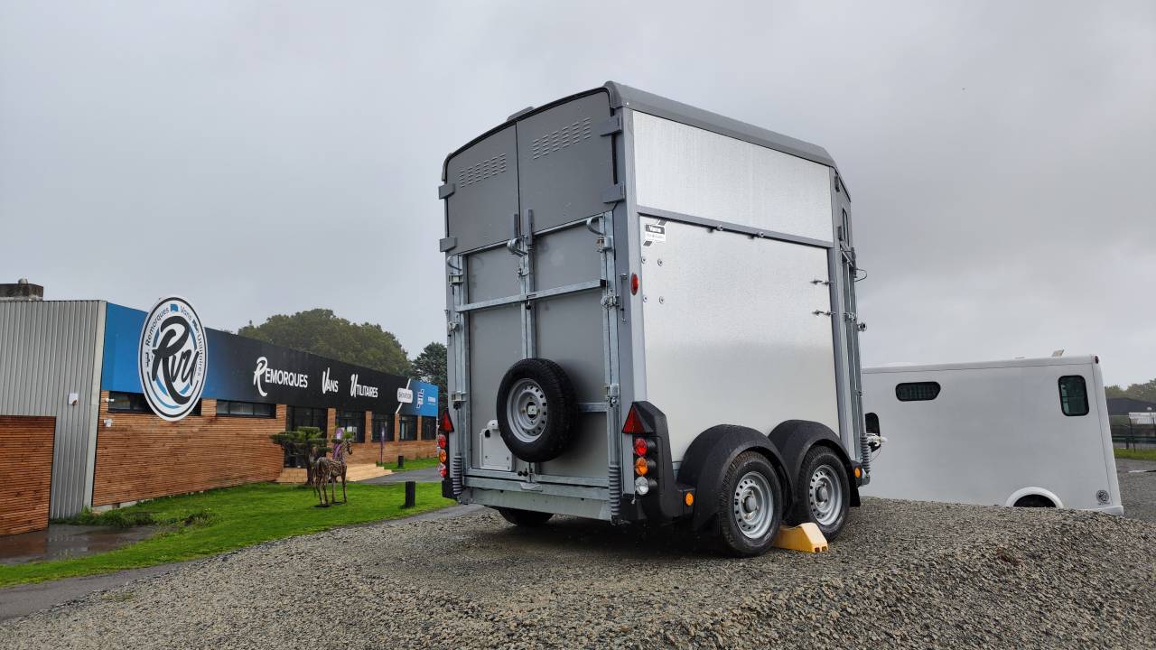 Trailer Ifor Williams Hb506 2 Cavalli 2023 Nuovo