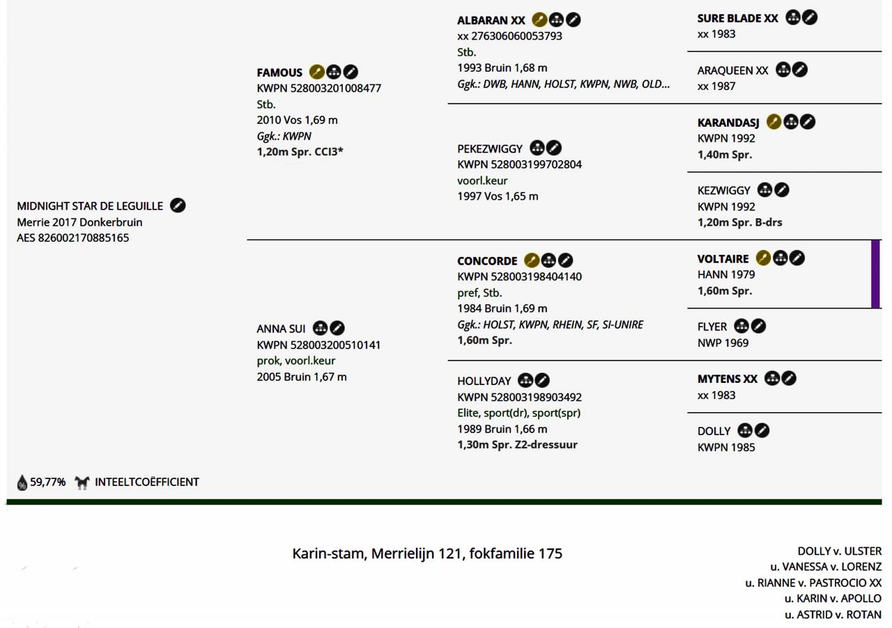 Cavalla KWPN Cavallo da Sport Neerlandese In vendita 2017 Baio