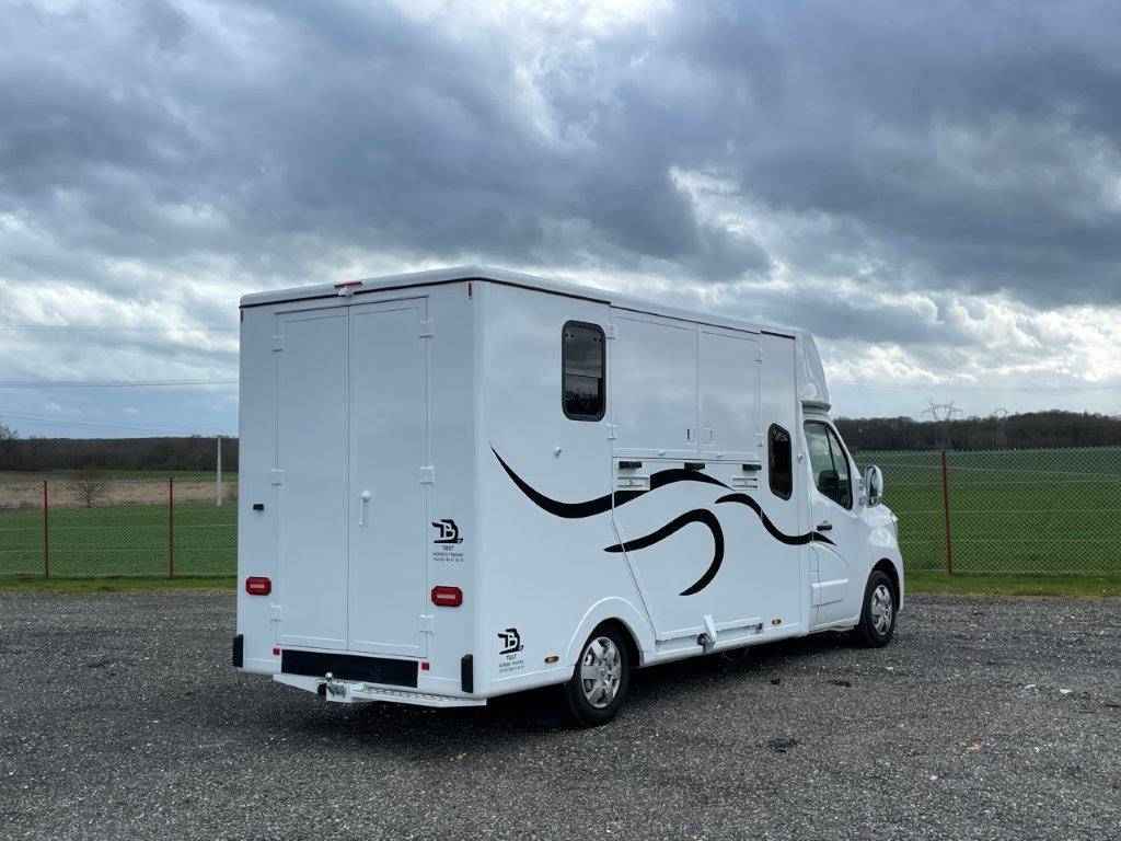 Van per Cavalli Renault Master 2023 Nuovo