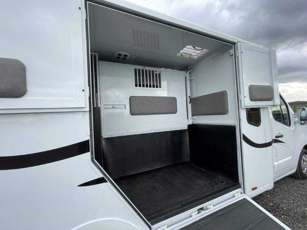 Van per Cavalli Renault Master 2023 Nuovo