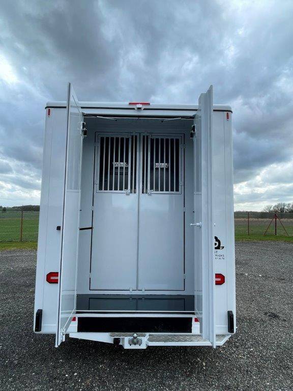 Van per Cavalli Renault Master 2023 Nuovo