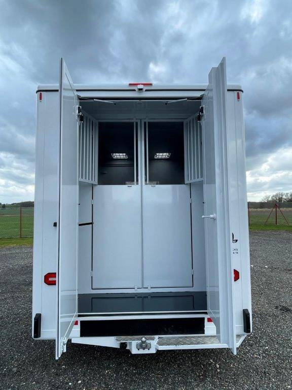 Van per Cavalli Renault Master 2023 Nuovo