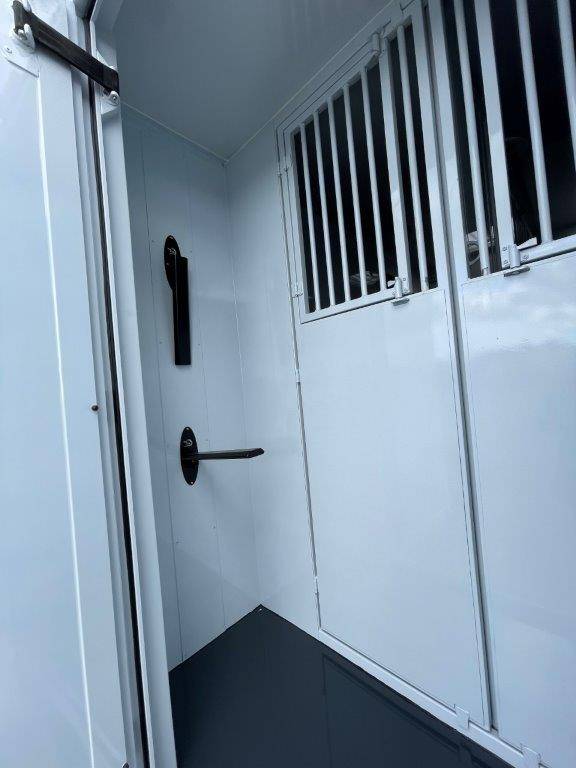 Van per Cavalli Renault Master 2023 Nuovo