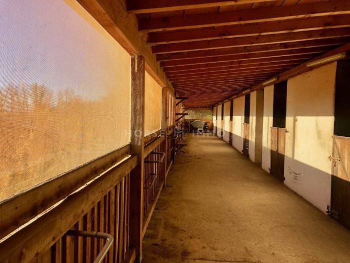 Centro di stagione cavallo In vendita Haute-Savoie