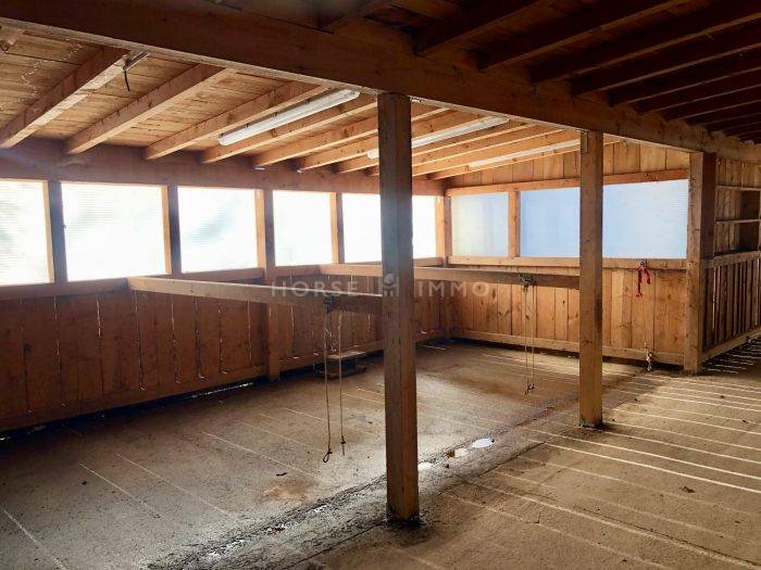 Centro di stagione cavallo In vendita Haute-Savoie