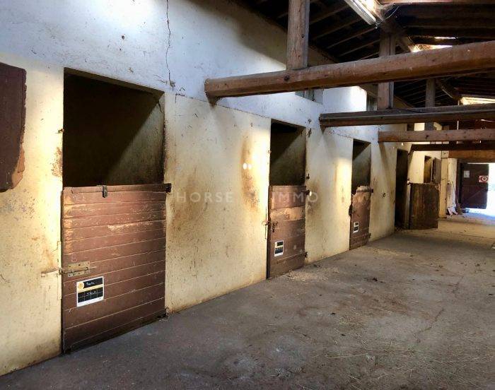 Centro di stagione cavallo In vendita Haute-Savoie