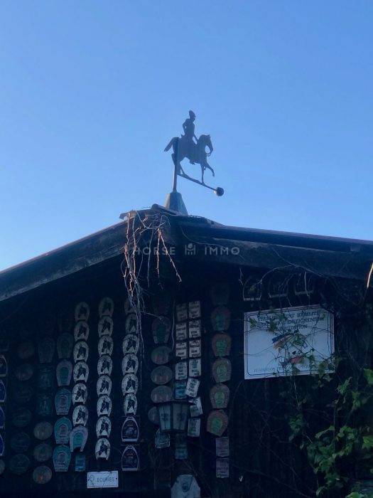 Centro di stagione cavallo In vendita Haute-Savoie