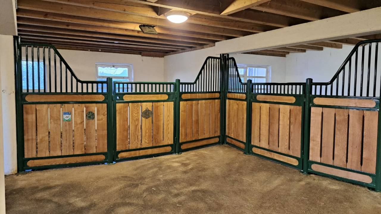 Azienda equestre In vendita Fribourg