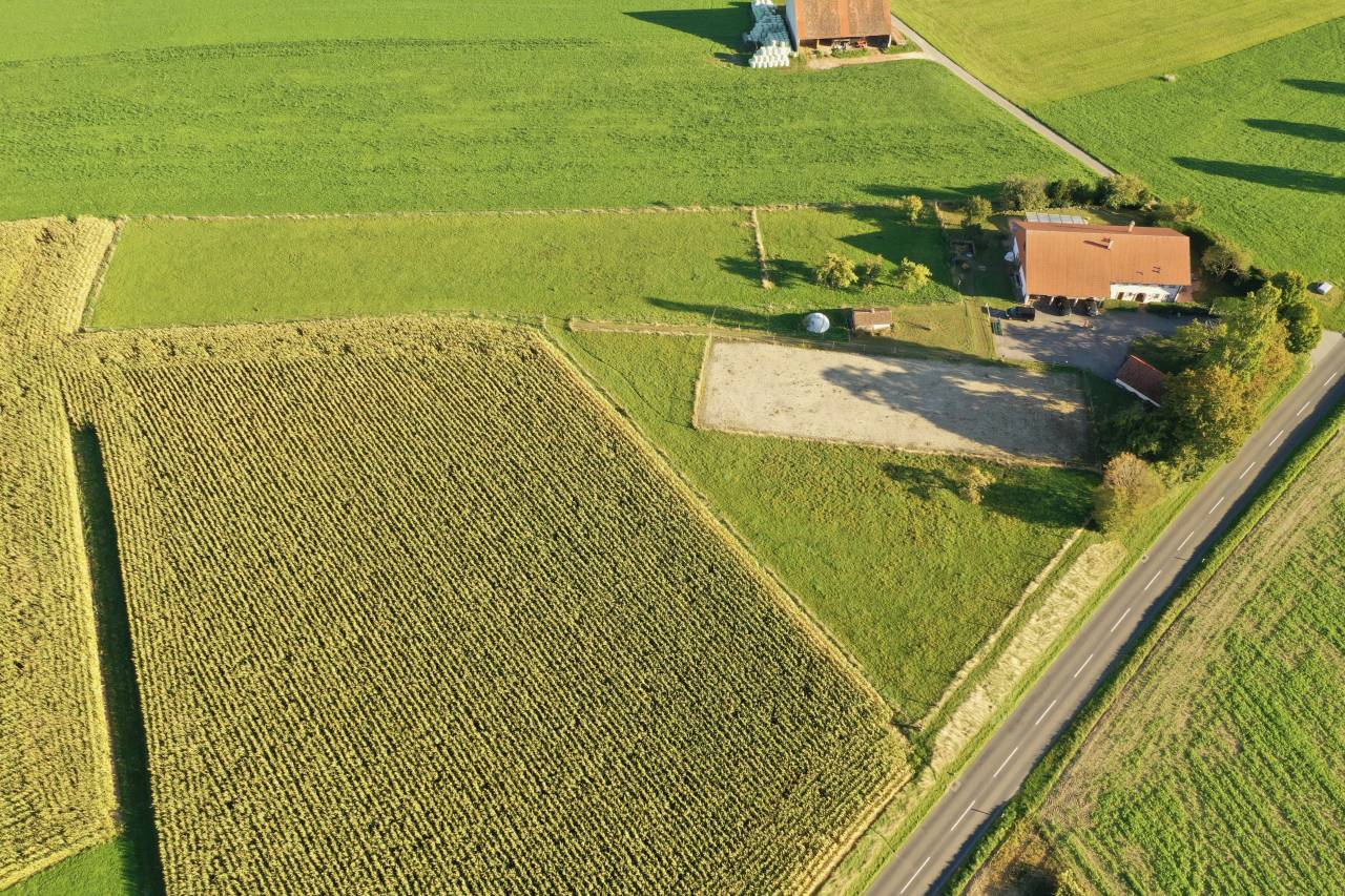 Azienda equestre In vendita Fribourg