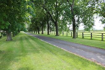 Centro di stagione cavallo In vendita Orne