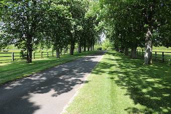 Centro di stagione cavallo In vendita Orne