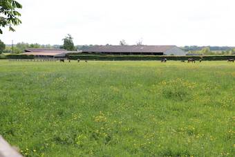 Centro di stagione cavallo In vendita Orne