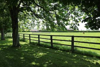Centro di stagione cavallo In vendita Orne