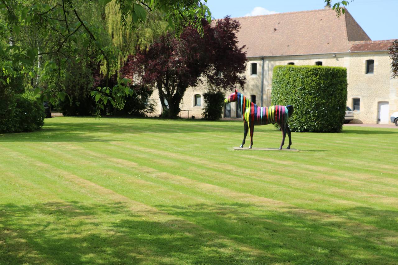 Centro di stagione cavallo In vendita Orne